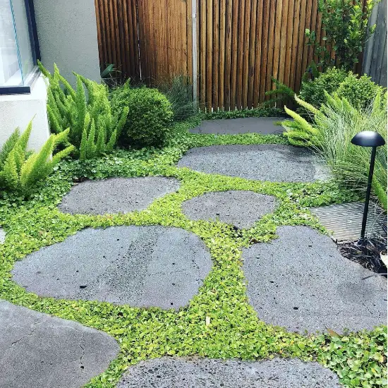 bluestone-stepping-stones-medium-450-550mmdiameter-30mm